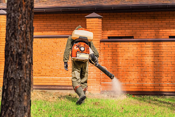 Trusted Rodent Control service in Wadsworth, OH - Nex Pest Control
